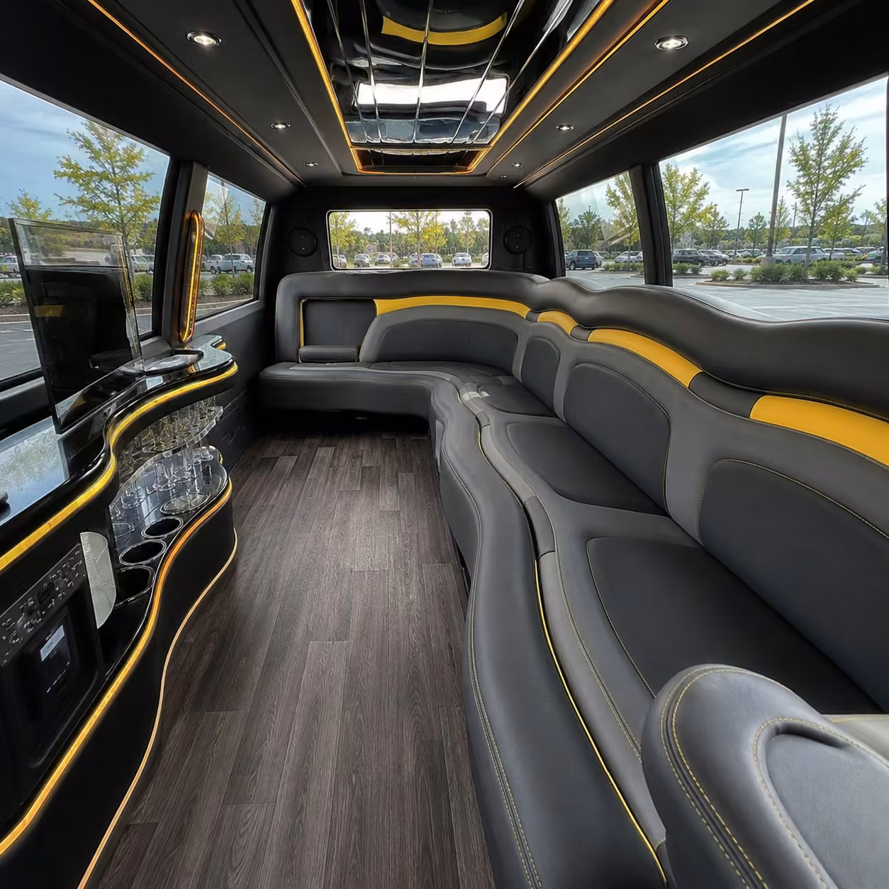 princeton limo interior